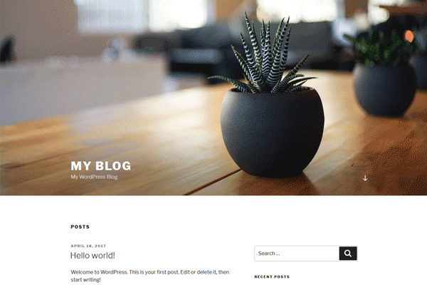 screenshot-WordPress 4.9