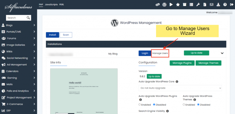 WordPress Manager