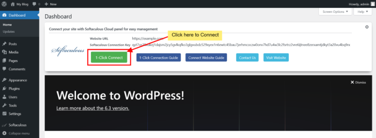 1 Click Website Connection