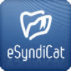 Webuzo eSyndiCat Logo