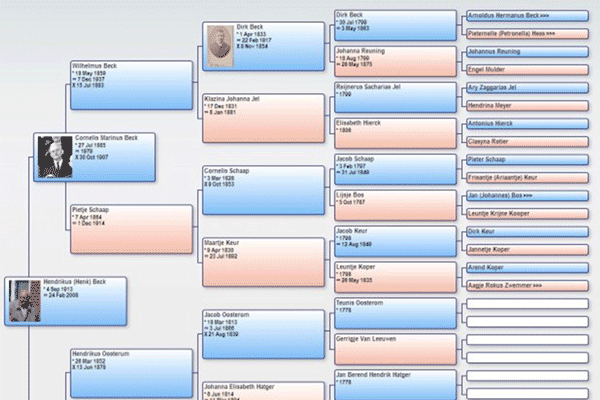 screenshot-HuMo-genealogy