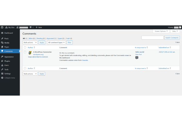 screenshot-WordPress 6.4
